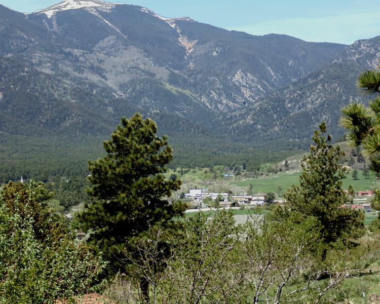 Gunny Pagnotta, Realtor&reg;