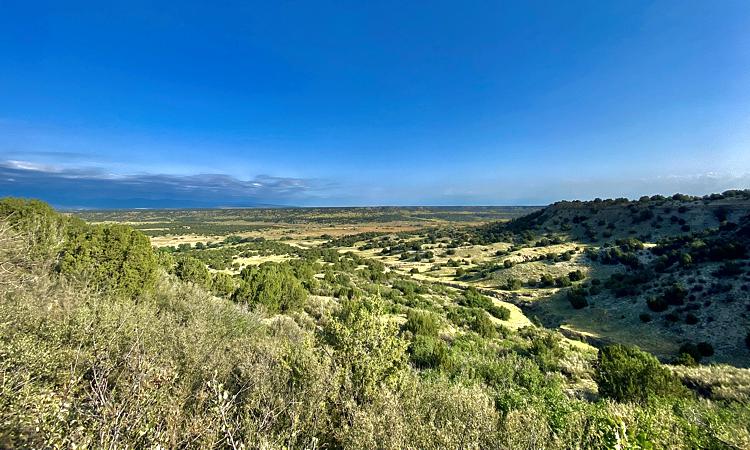 Vacant Lot for sale at William Finlay Dr, Rye, Colorado