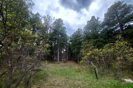 Vacant Lot for sale at W. Hwy 165, Rye, Colorado