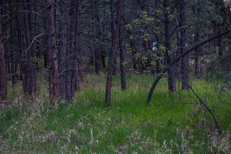 Vacant Lot for sale at W. Hwy 165, Rye, Colorado
