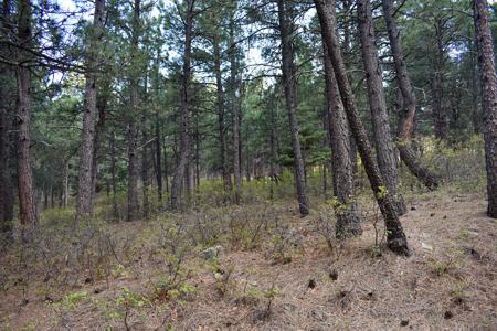 Vacant Lot for sale at W. Hwy 165, Rye, Colorado