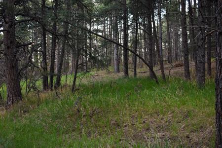 Vacant Lot for sale at W. Hwy 165, Rye, Colorado