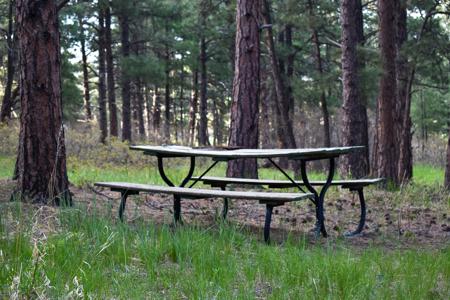 Vacant Lot for sale at W. Hwy 165, Rye, Colorado