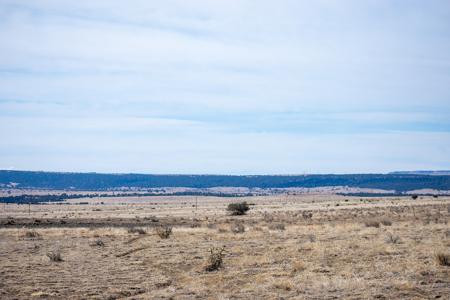 Vacant Lot for sale at Cedarwood Station, Rye, Colorado