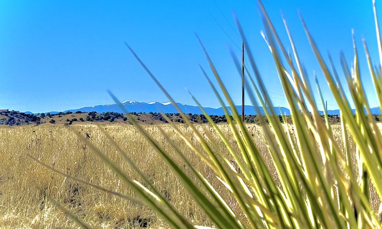 Vacant Lot for sale at Coal Car Way, Rye, Colorado