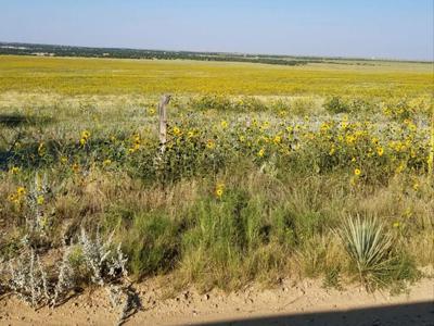 Vacant Lot for sale at Schmitt Rd, Rye, Colorado