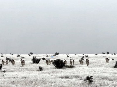 Vacant Lot for sale at Schmitt Rd, Rye, Colorado