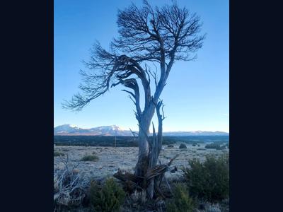 Vacant Lot for sale at Choctaw Dr. Walsenburg, Colorado