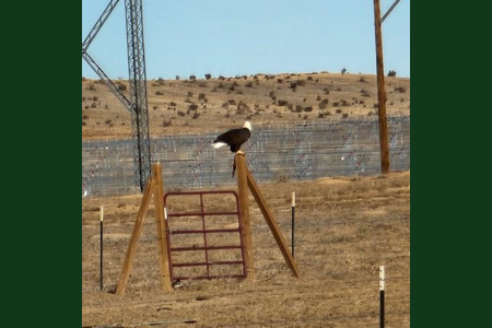 Residential Property for Sale in Avondale, Colorado