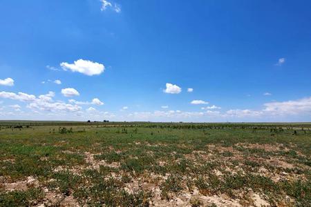 Residential 233 Acre for Sale in Boone, Colorado