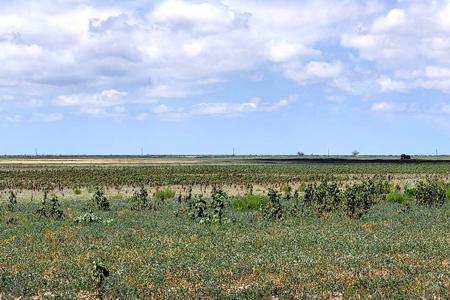 Residential 233 Acre for Sale in Boone, Colorado