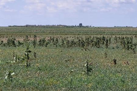 Residential 233 Acre for Sale in Boone, Colorado