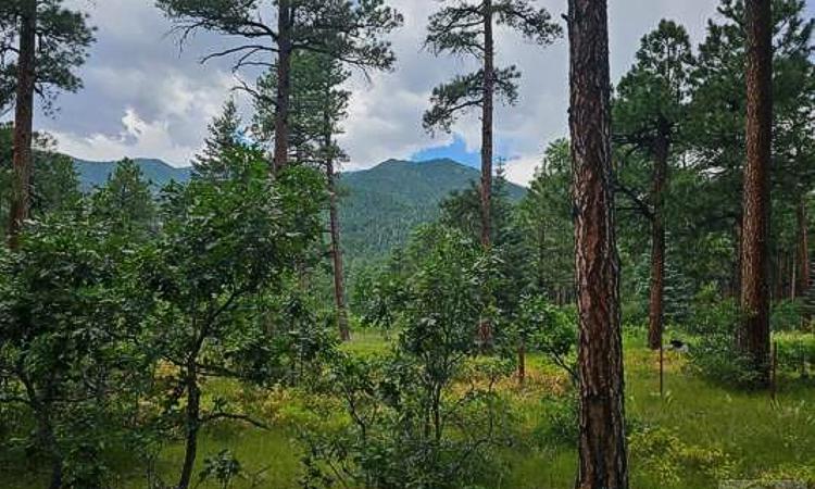 Vacant Lot for sale at Zorn Rd, Rye, Colorado