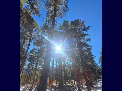 Vacant Lot for sale at Zorn Rd, Rye, Colorado