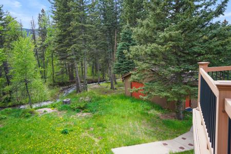 Home for Sale 25 Cottonwood Tr. La Veta, Colorado