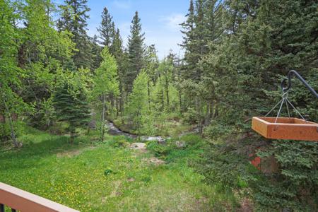 Home for Sale 25 Cottonwood Tr. La Veta, Colorado