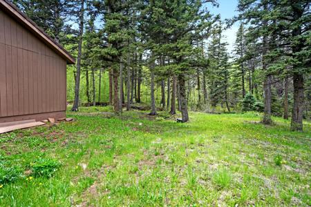 Home for Sale 25 Cottonwood Tr. La Veta, Colorado