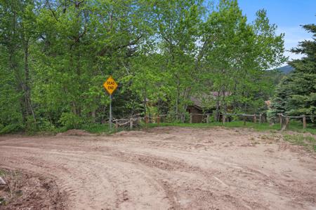 Home for Sale 25 Cottonwood Tr. La Veta, Colorado