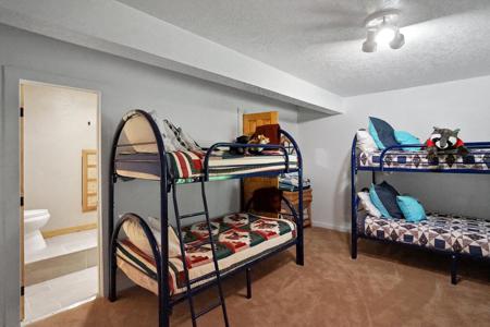 Home for Sale 25 Cottonwood Tr. La Veta, Colorado